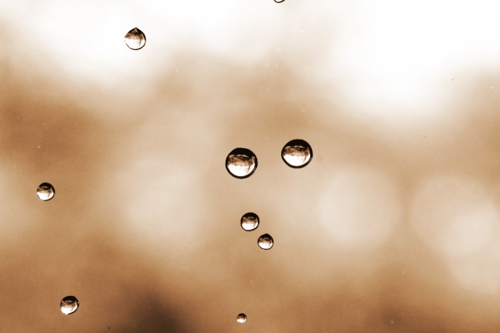 Wassertropfen im stillen Dialog